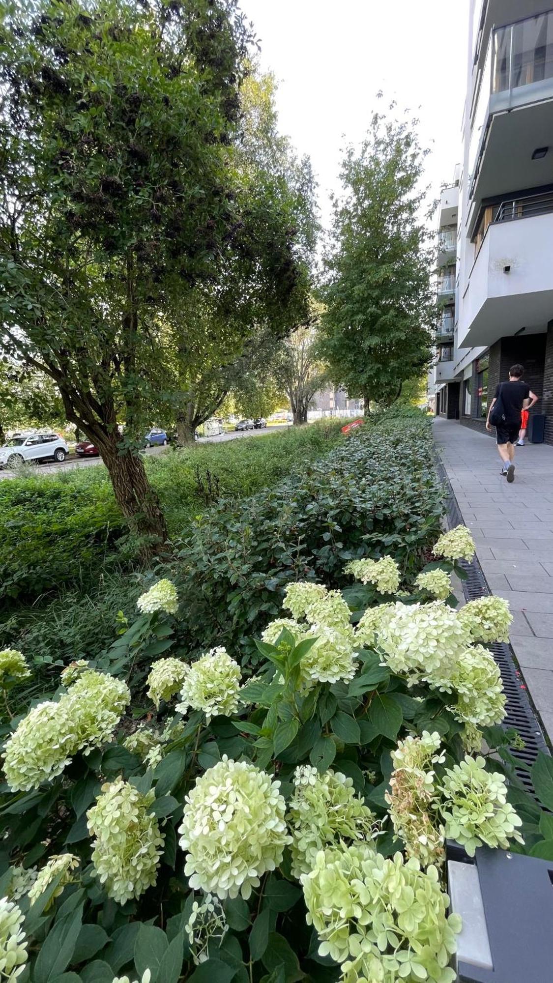 Apartamenty Warszawa Centrum Wlodarzewska 30 Esterno foto